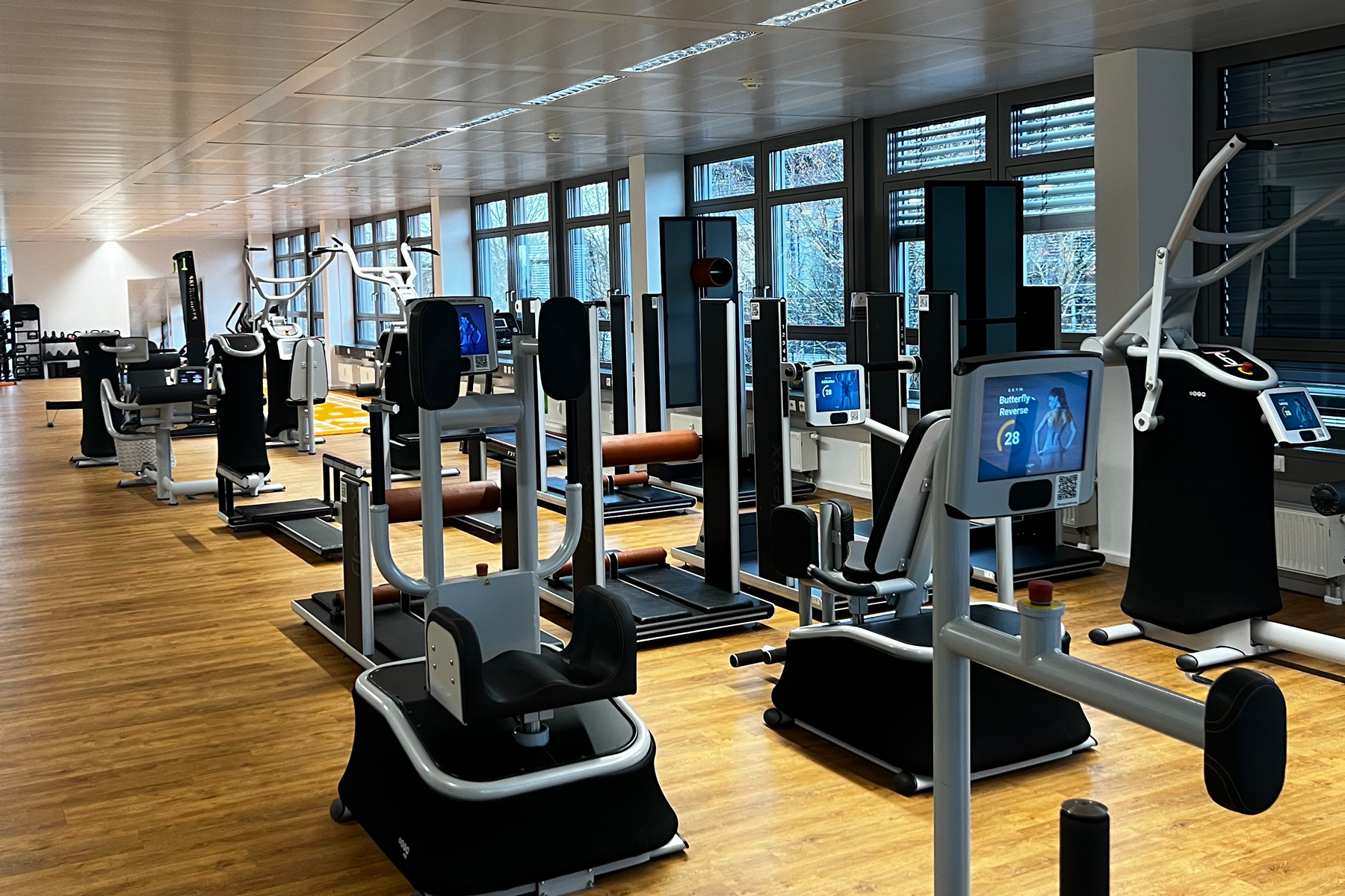 therapiePUNKT - Fitnessstudio Olching - Header